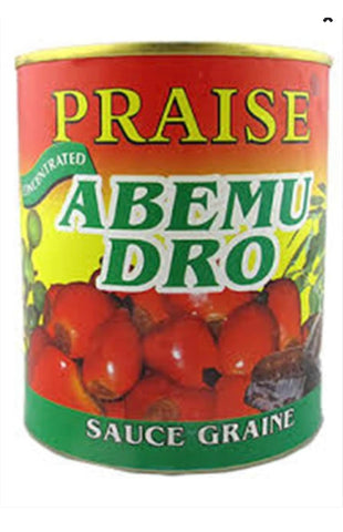 Praise Abemuduro